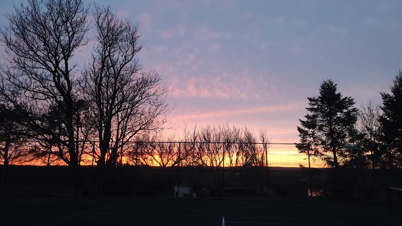 Nittany Orchard Park - Pickleball in Blanchard, Pennsylvania