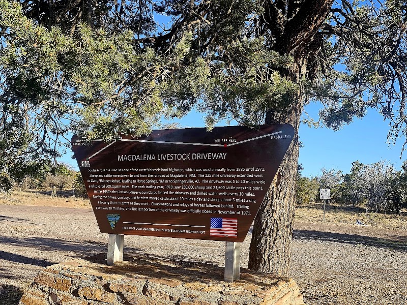 Picnic Area