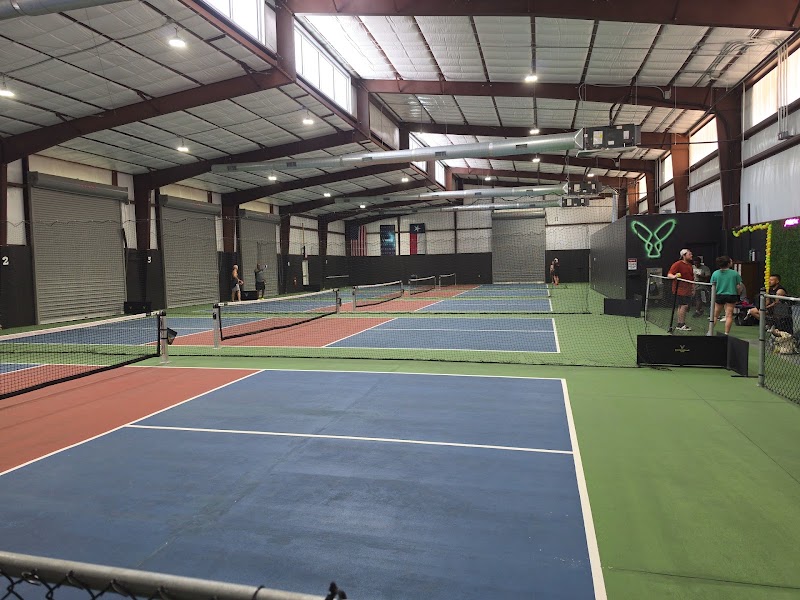 Pickleball 336