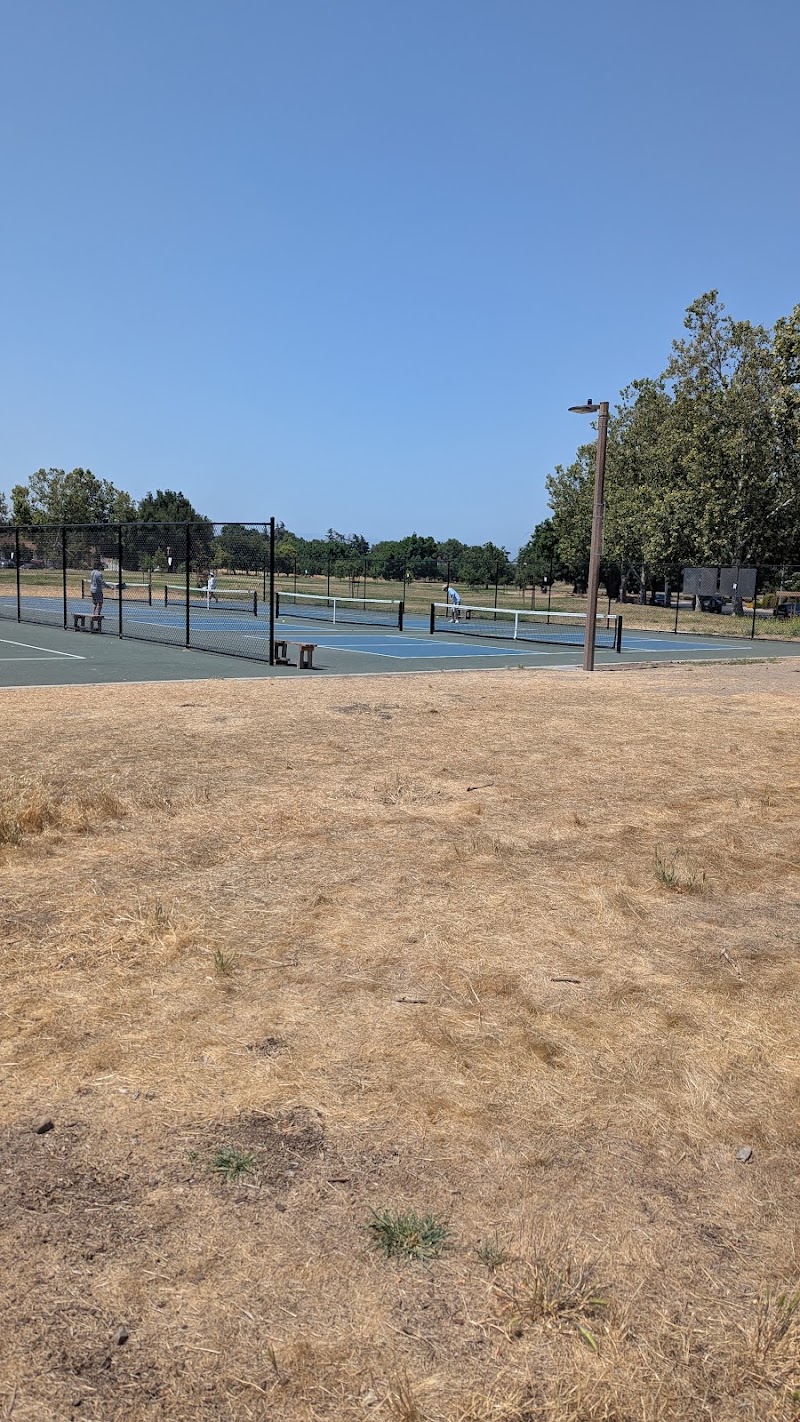 Pickleball Court