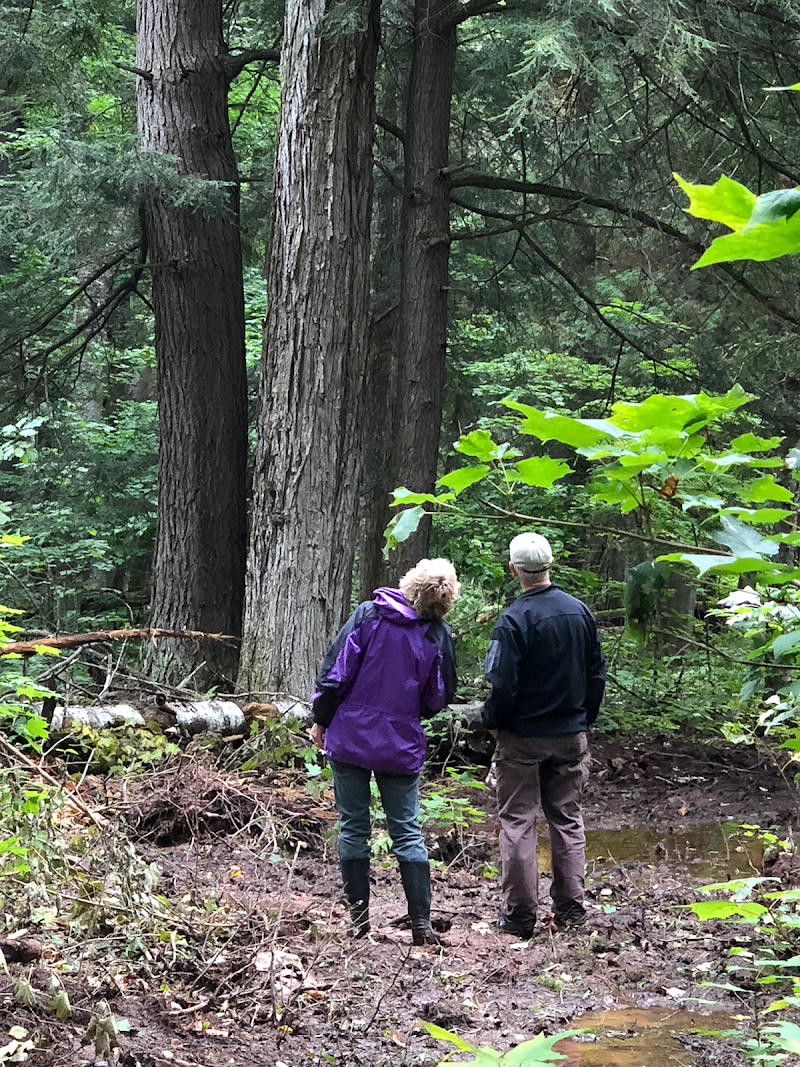 Madeline Island Wilderness Preserve