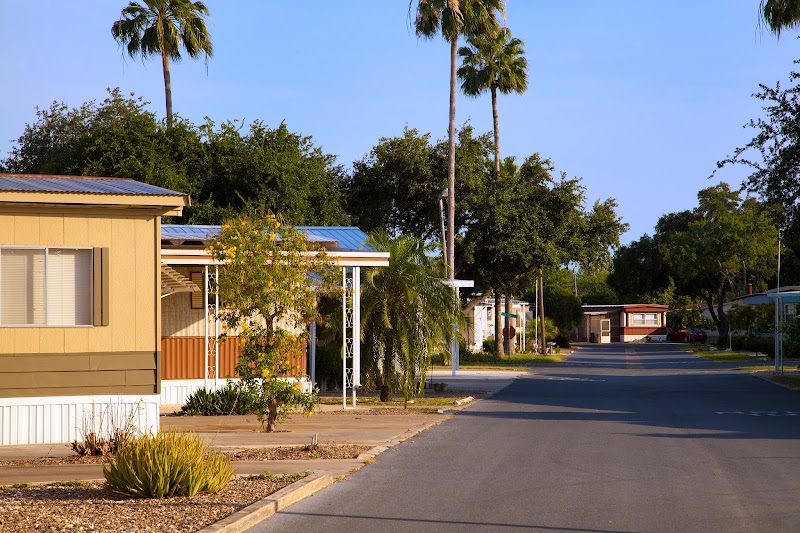 Alamo Palms
