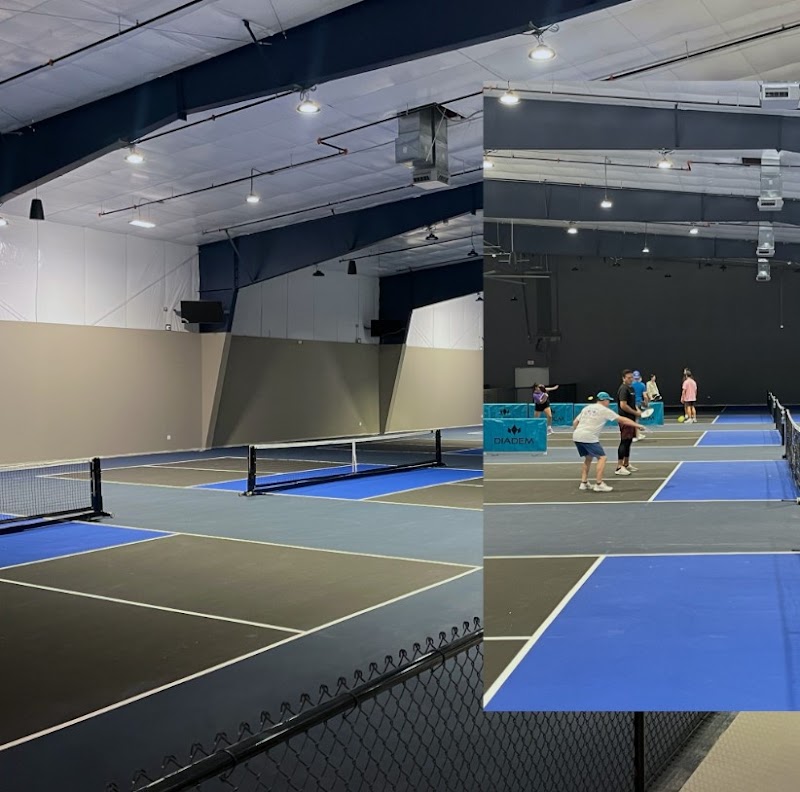 The Pickleball Zone