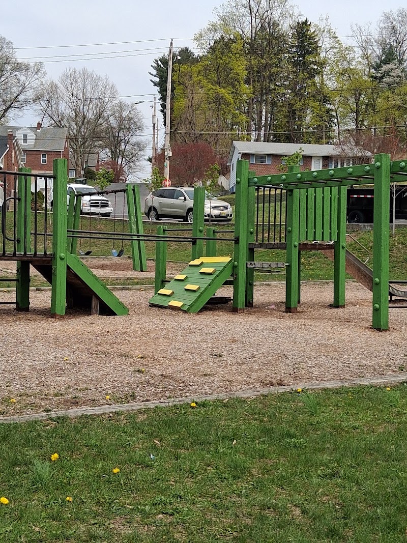 Green Goose Basketball Court