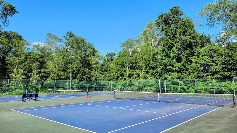 Rice Township Pickleball Court