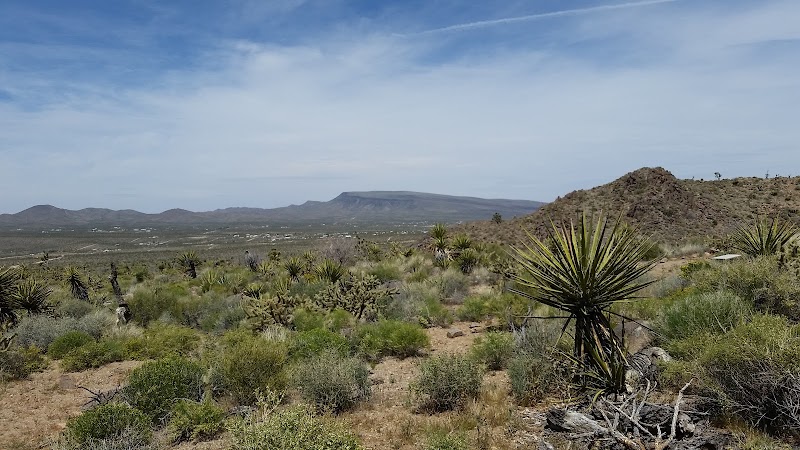 Mount Tipton Wilderness