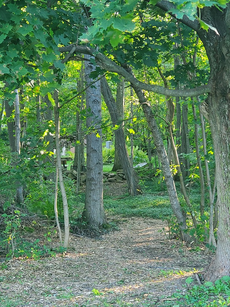Snowdon Park