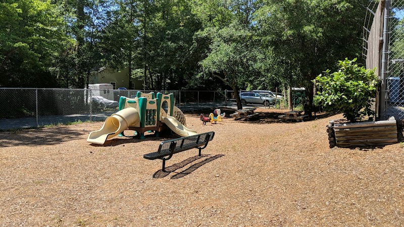David Paul Pruitt Park - Pickleball in Kitty Hawk, North Carolina