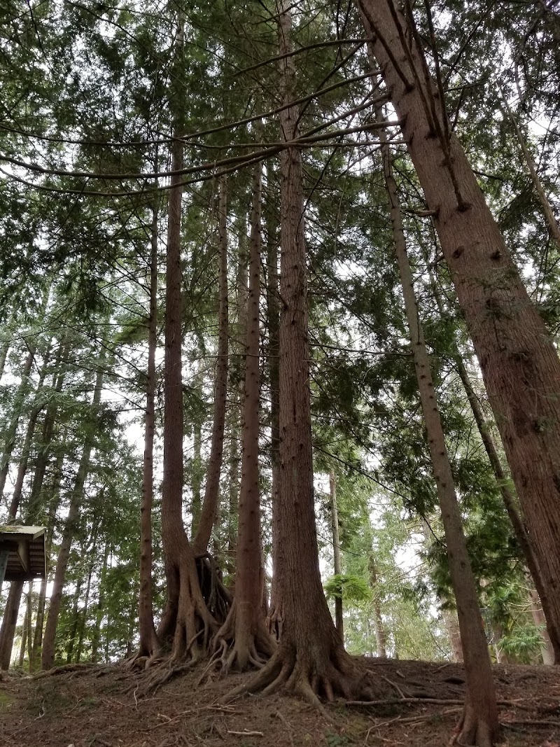 William A. (Bill) Vanzee Memorial Park