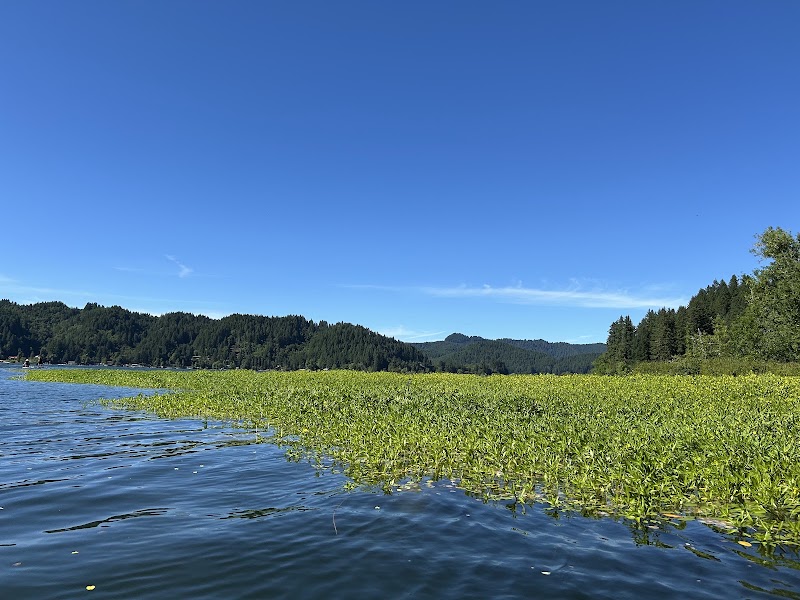 Triangle Lake Park - Pickleball in Blachly, Oregon
