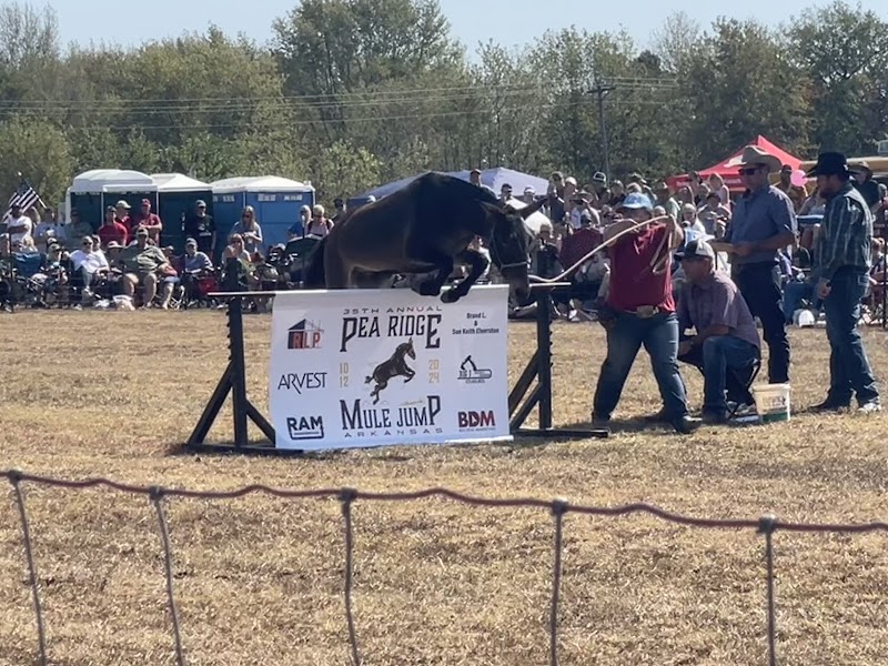 Pea Ridge Mule Jump