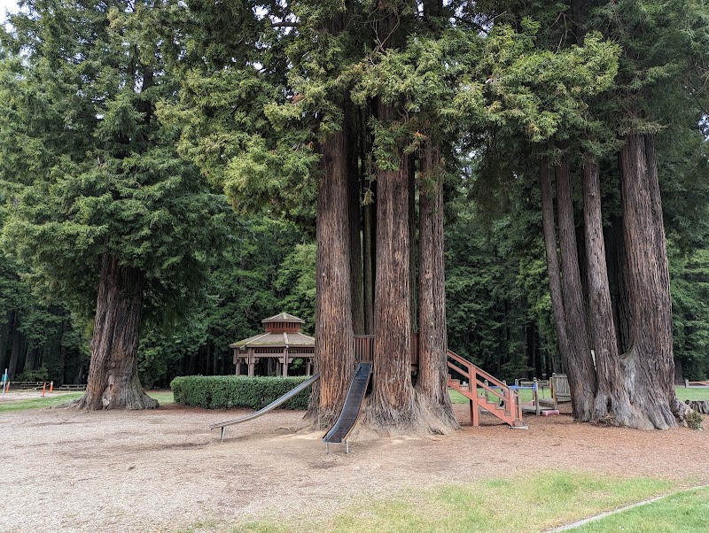 Sequoia Park