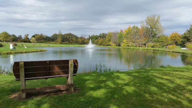 Martin Road Park