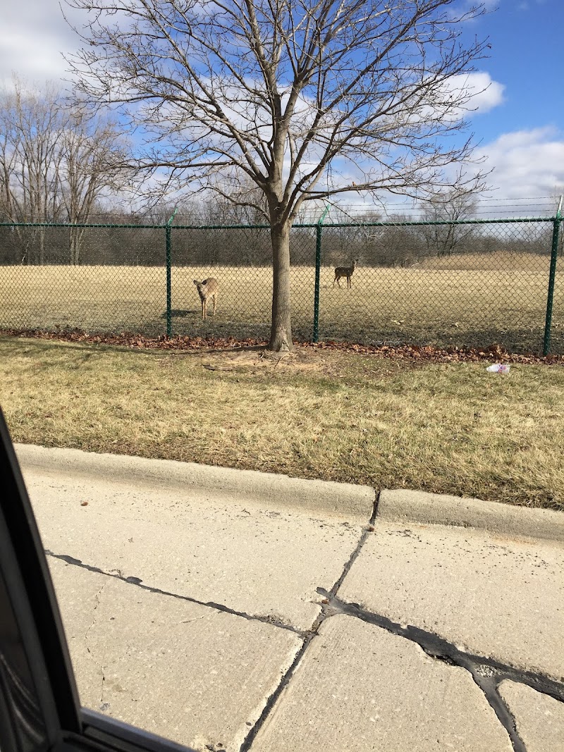 Vreeland Park - Pickleball in Southgate, Michigan