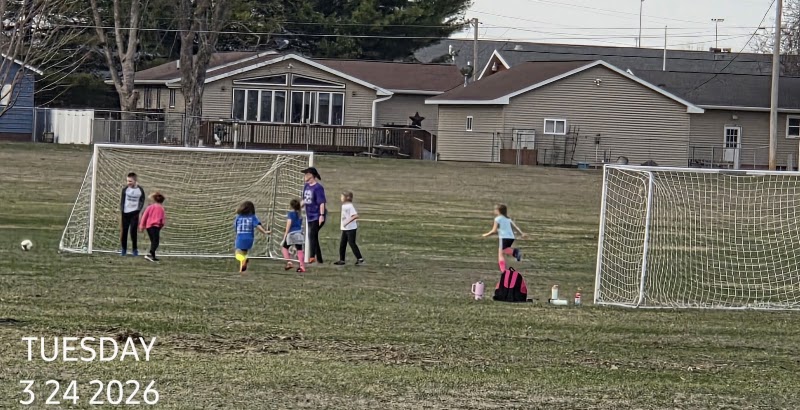 Platt Park - Pickleball in Camanche, Iowa