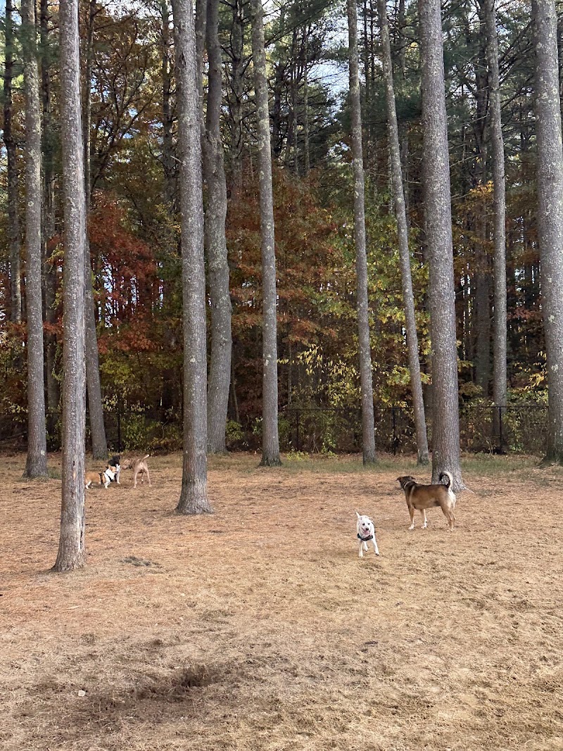 Longhill Dog Park - Pickleball in Somersworth, New Hampshire