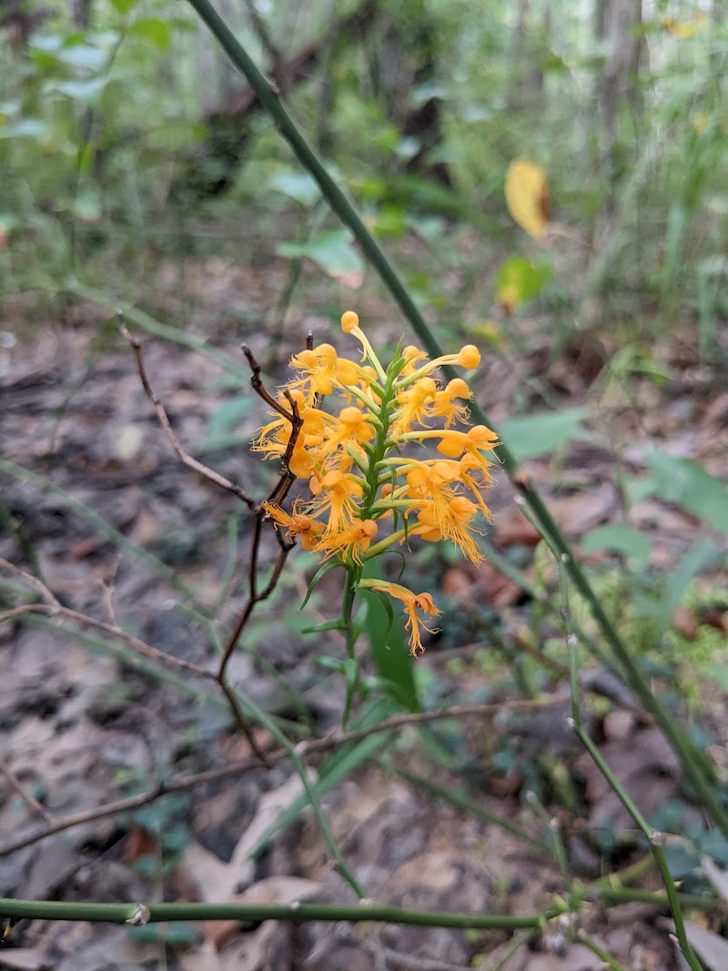 May Prairie State Natural Area