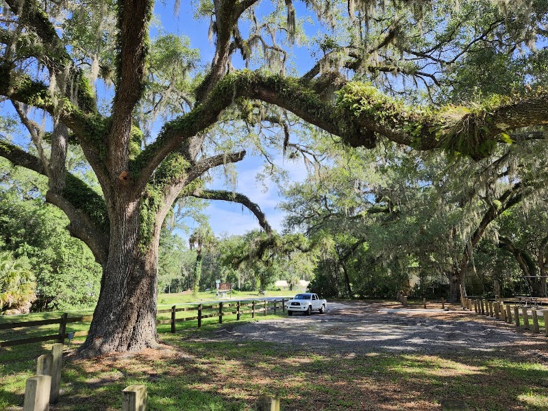 Orange Springs Park