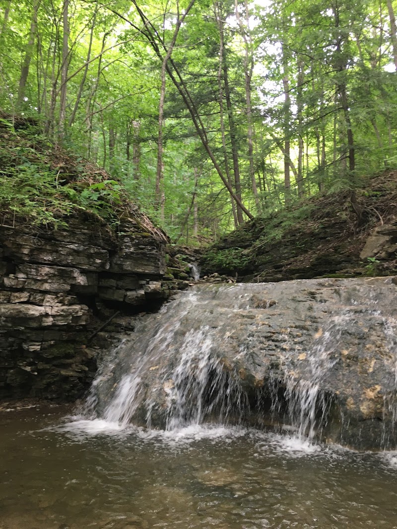 Oxbow Falls Park Disc Golf Course