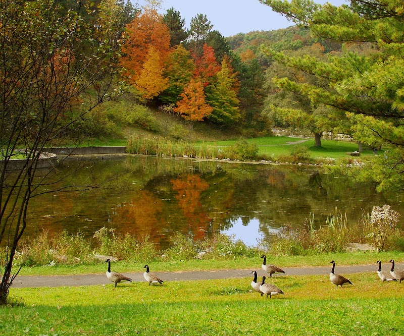 Deer Lakes Park - Pickleball in Russellton, Pennsylvania