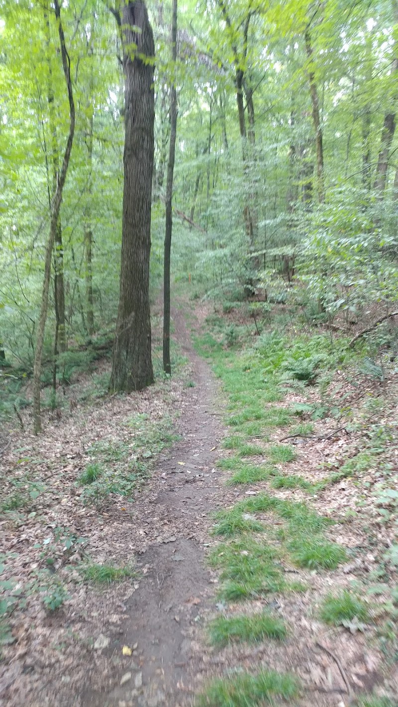 Butler Township Park - Pickleball in Boyers, Pennsylvania