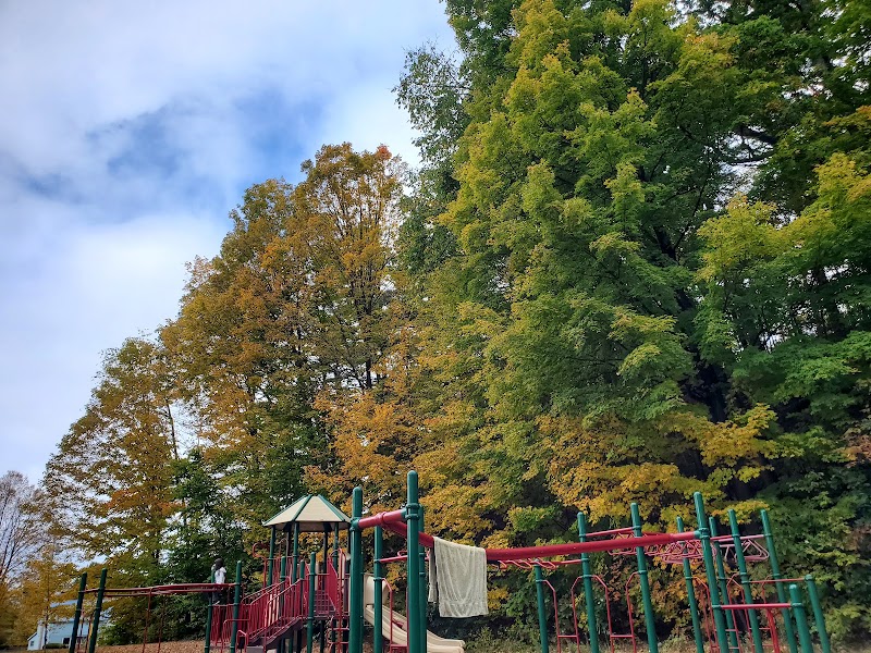 Harold Curtiss Recreation Park