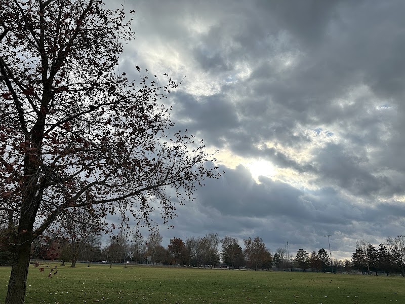 Moore Park