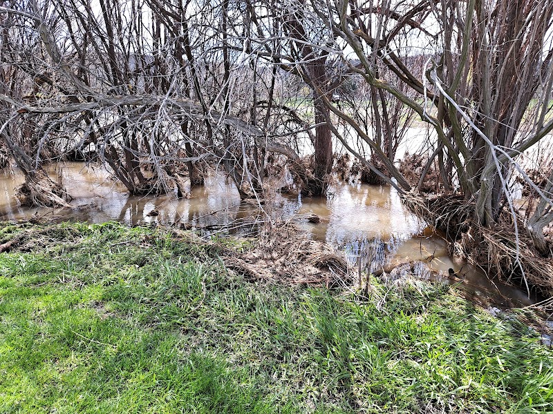 Gervais Park