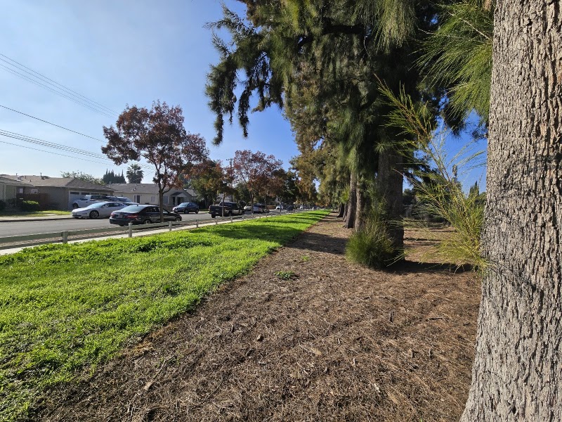 Fuller Park - Pickleball in Ryde, California