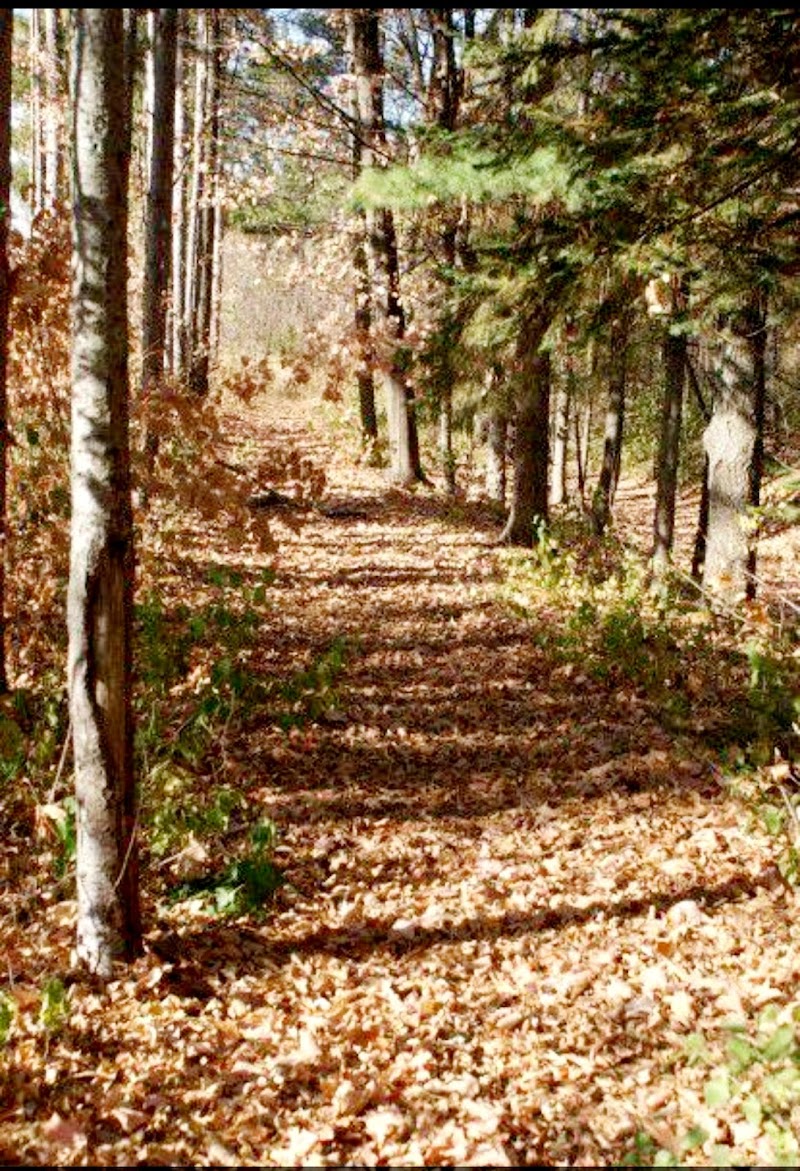 Lilleskogen Park