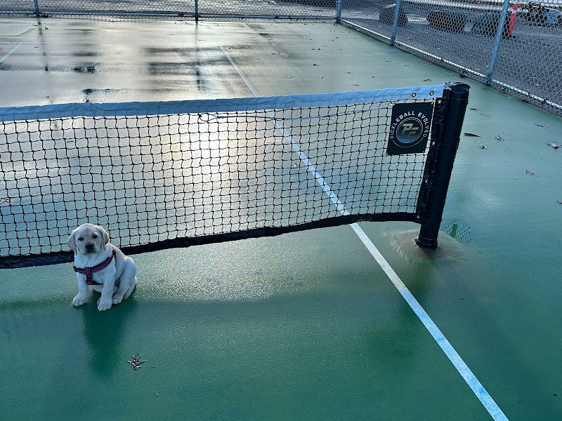 Beban Pickleball Courts - Pickleball in Nanaimo, British Columbia
