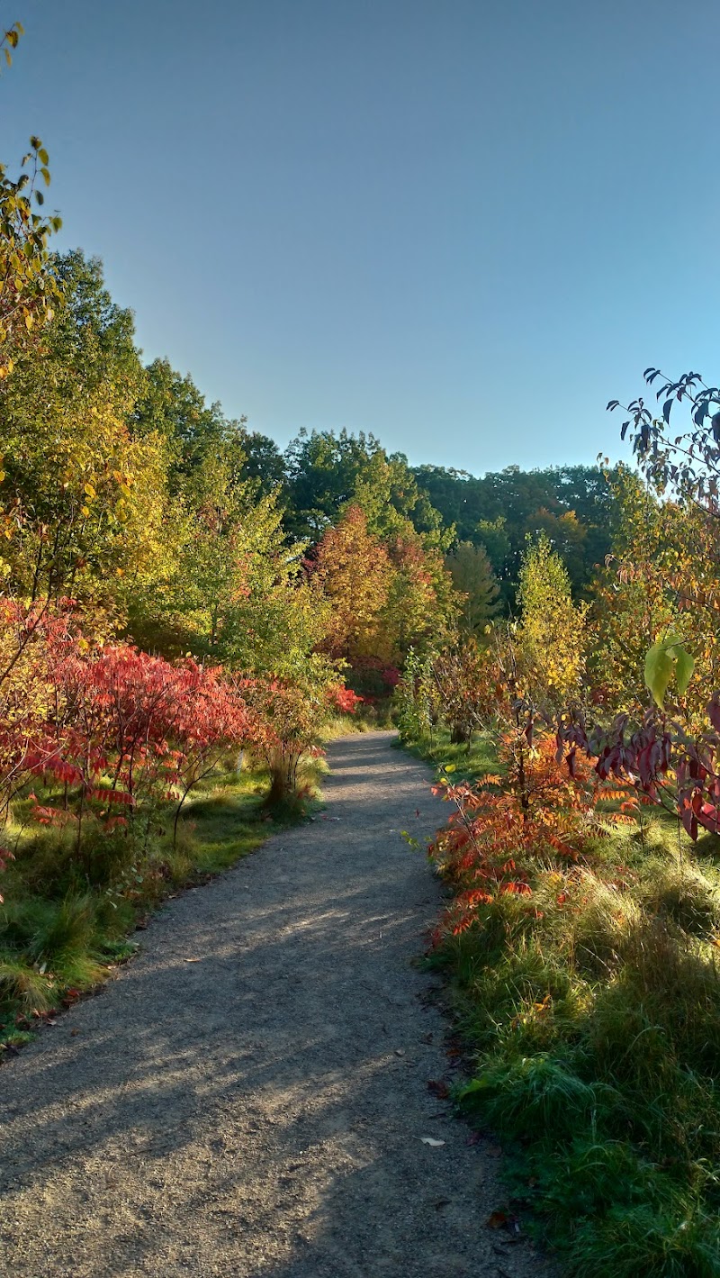 Mitches Park