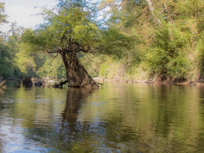 Black Creek Wilderness