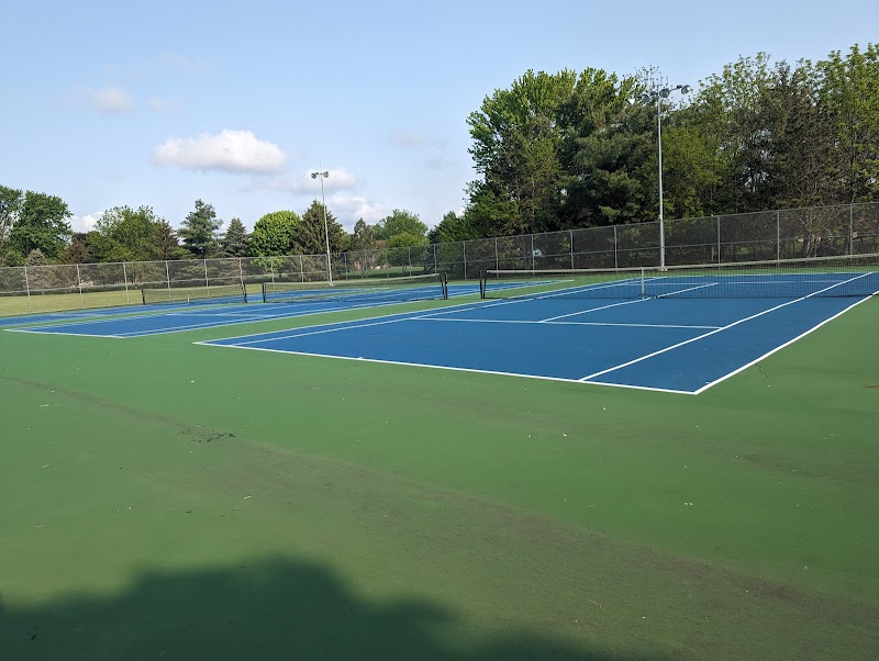 Blissfield Pickleball and Tennis Courts - Pickleball in Deerfield, Michigan