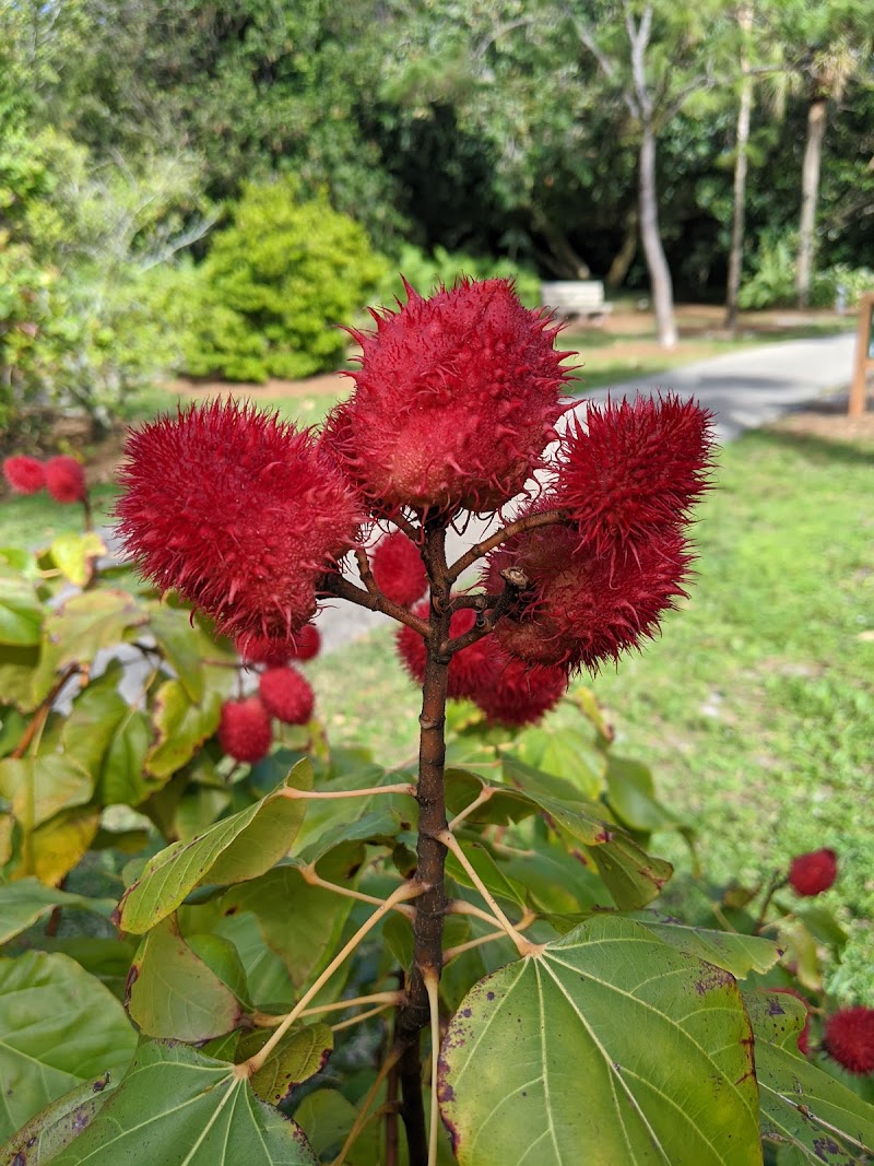 Deerfield Beach Arboretum - Pickleball in Deerfield Beach, Florida