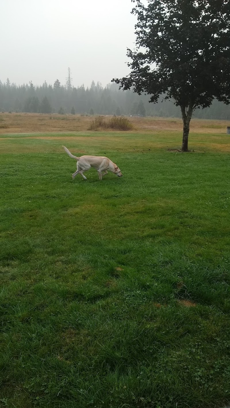 Packwood Park - Pickleball in Packwood, Washington