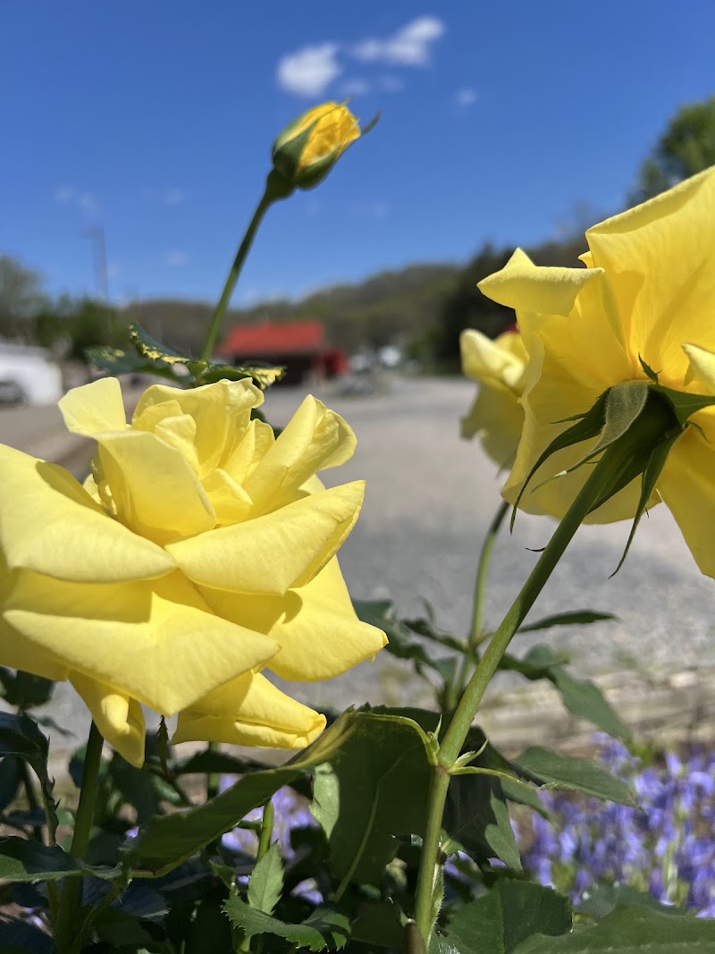 Salem CommUNITY Garden and NBRT Trailhead - Pickleball in Salem, West Virginia
