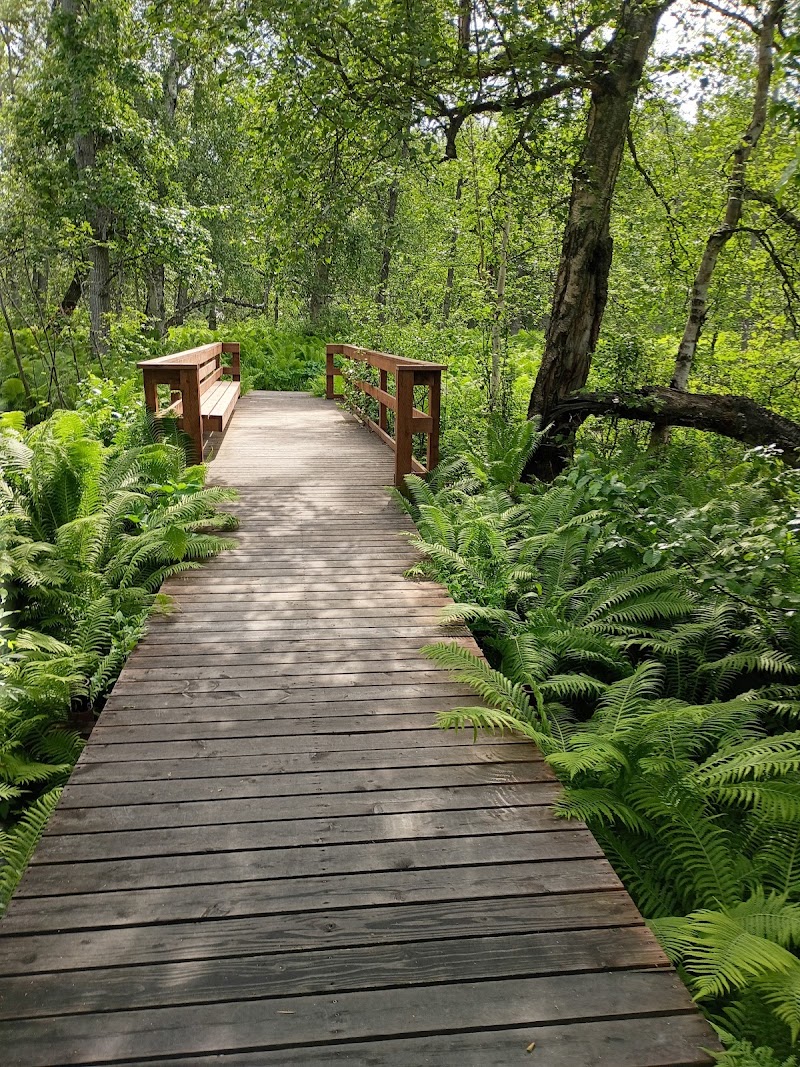 Cottonwood Creek Park