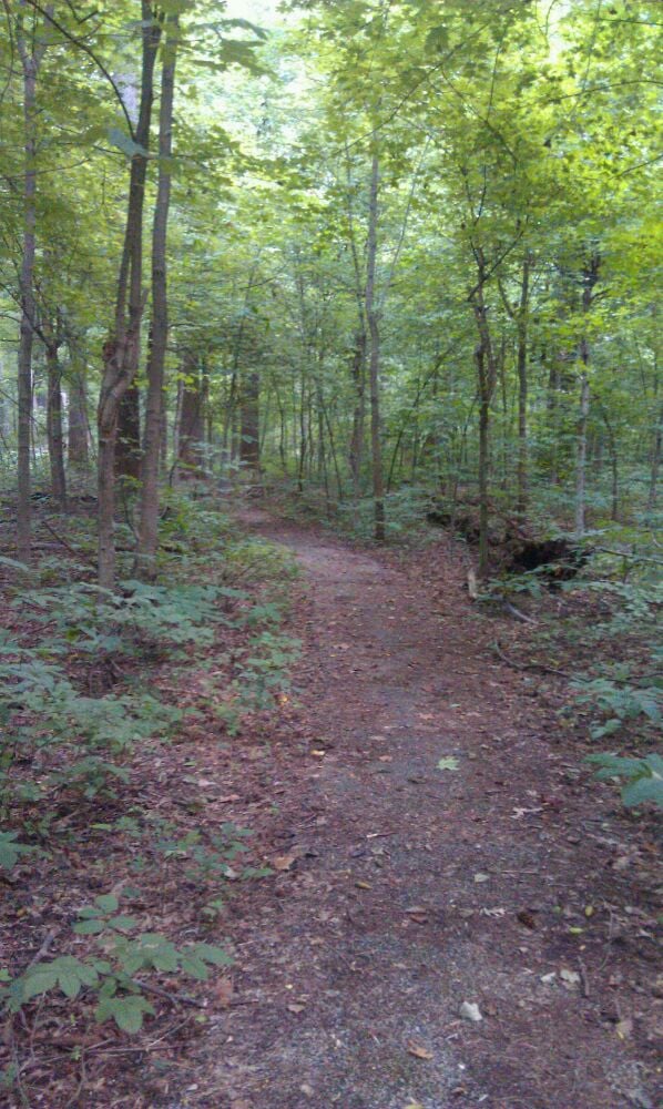 Wesselman Park