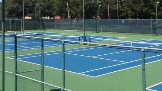HI-Tech Athletic Surfaces - Pickleball in Lake, Mississippi