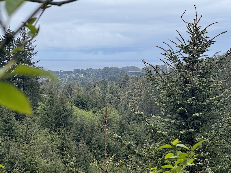 McKinleyville Community Forest | Murray Rd W access