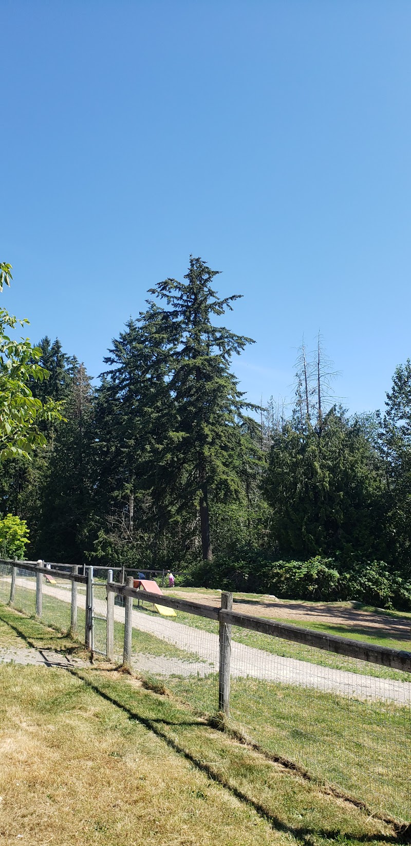Kennedy Park - Pickleball in Surrey, British Columbia