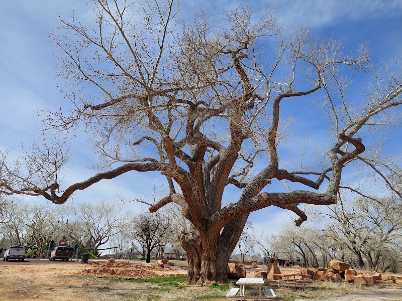 Cottonwood Park