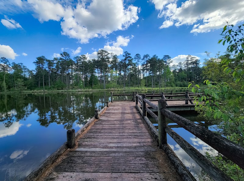 Ashe Lake Recreation Area - Pickleball in Lake, Mississippi