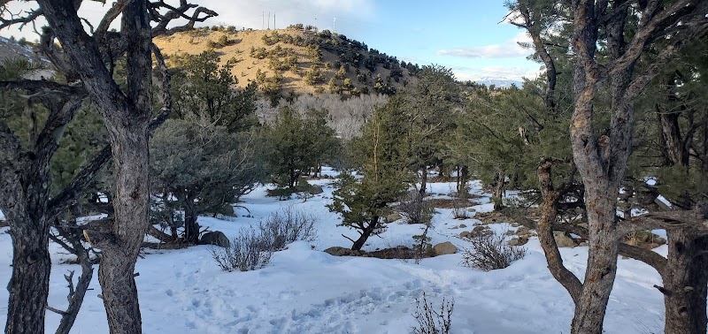 Poncha Springs Disc Golf Course - Pickleball in Poncha Springs, Colorado