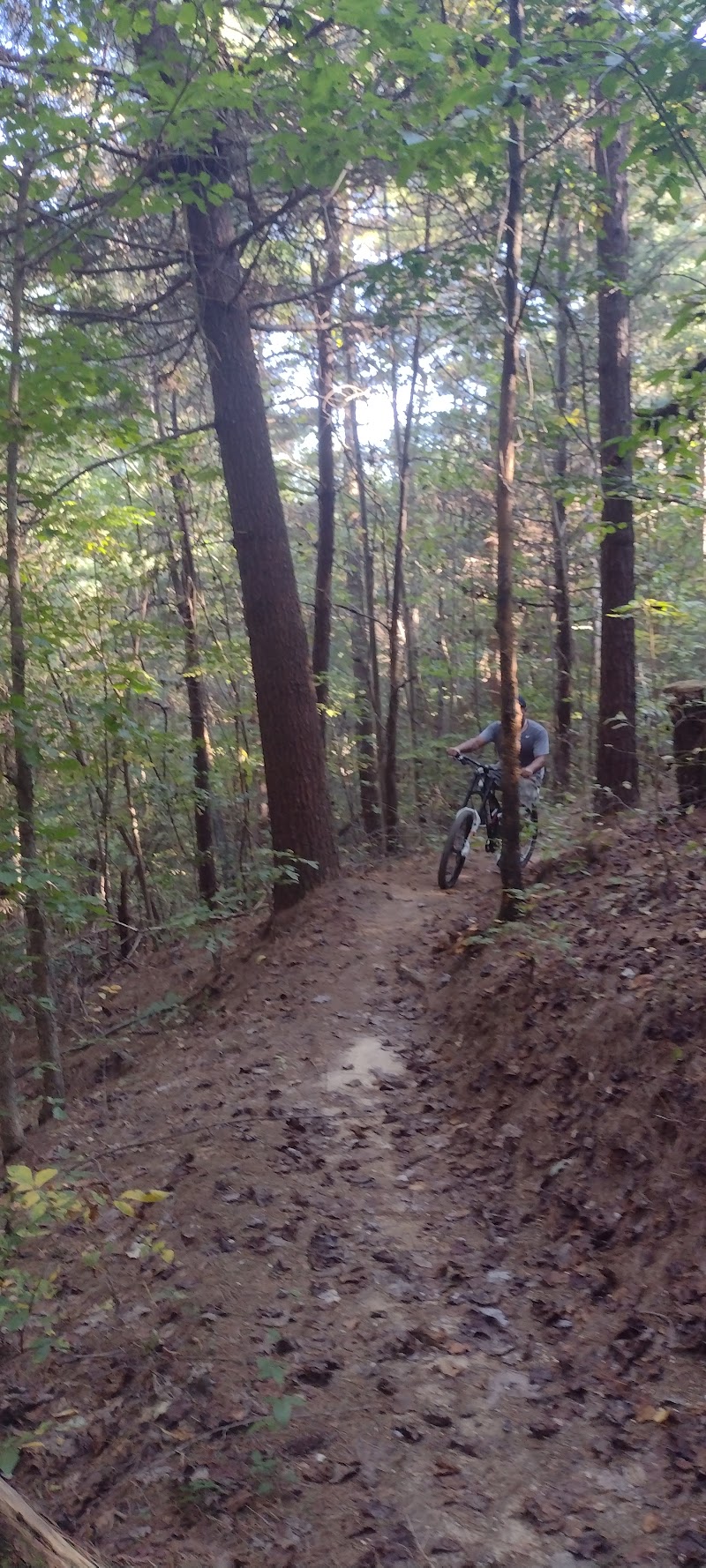 Stumphouse Mountain Bike Park