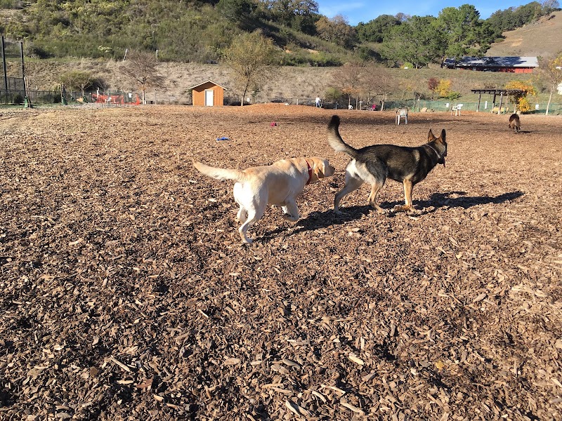 Red Hill Community Park - Pickleball in San Anselmo, California