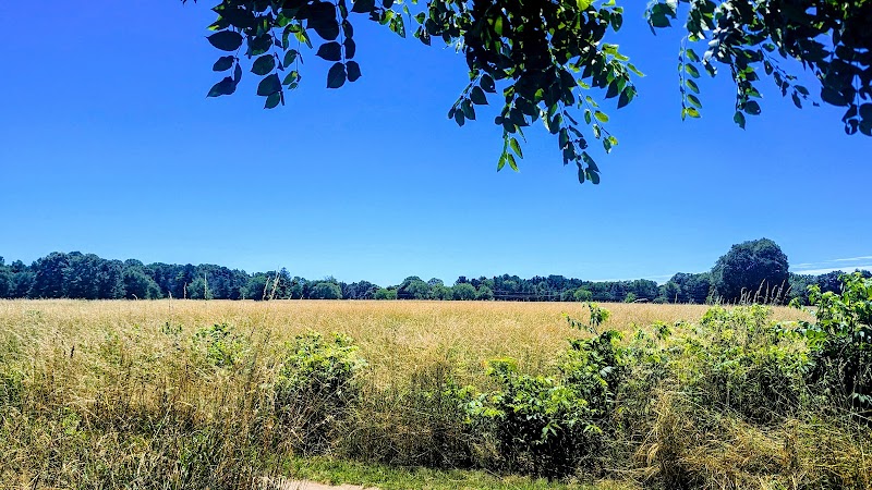 Gosnell Big Woods Preserve