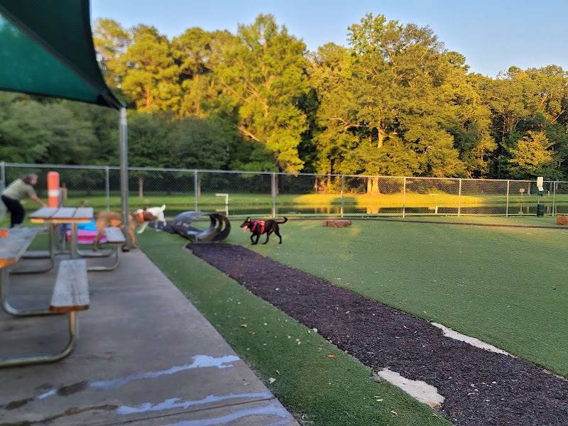 Beneful Dream Dog Park