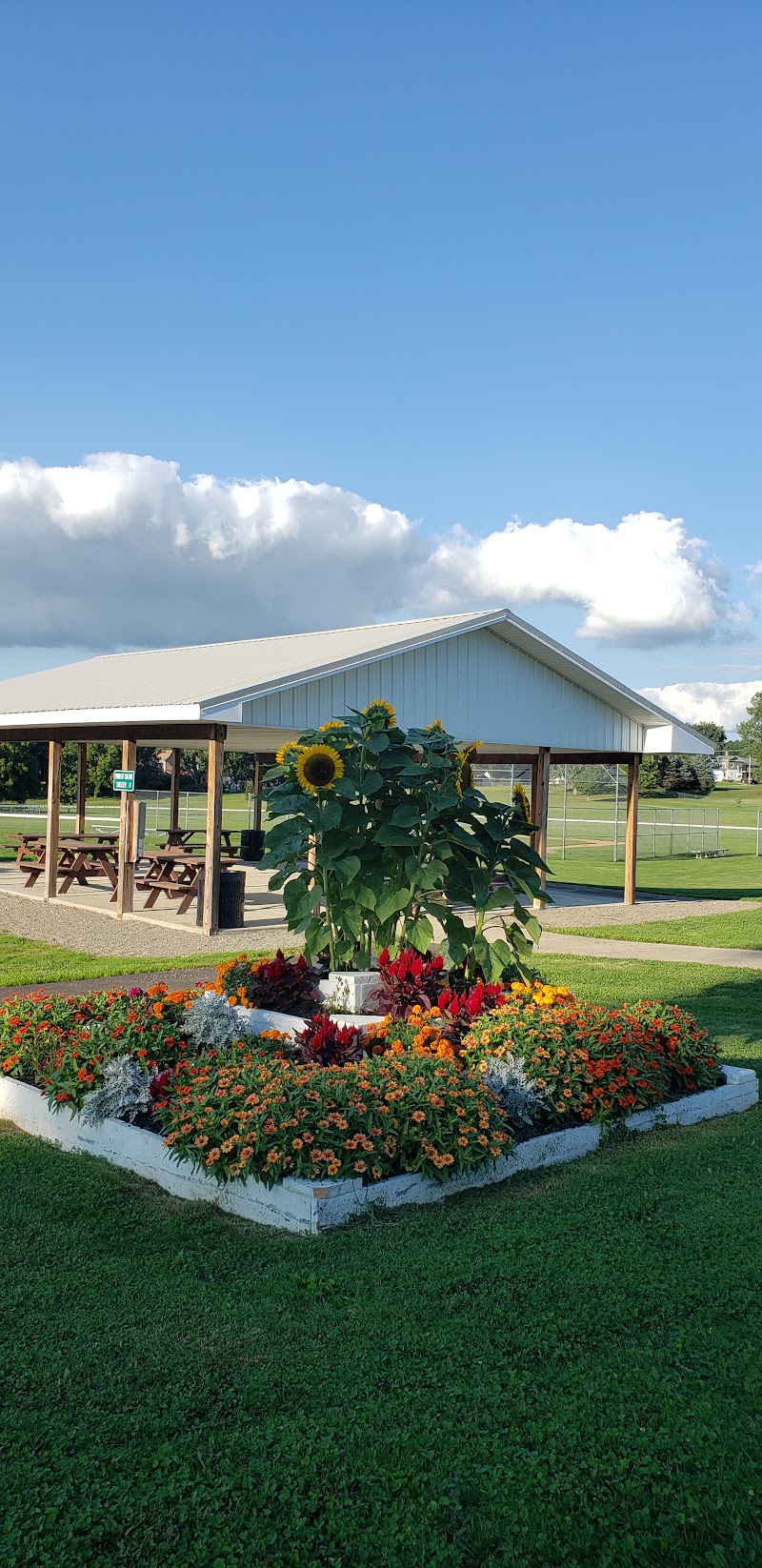 Town of Collins Park